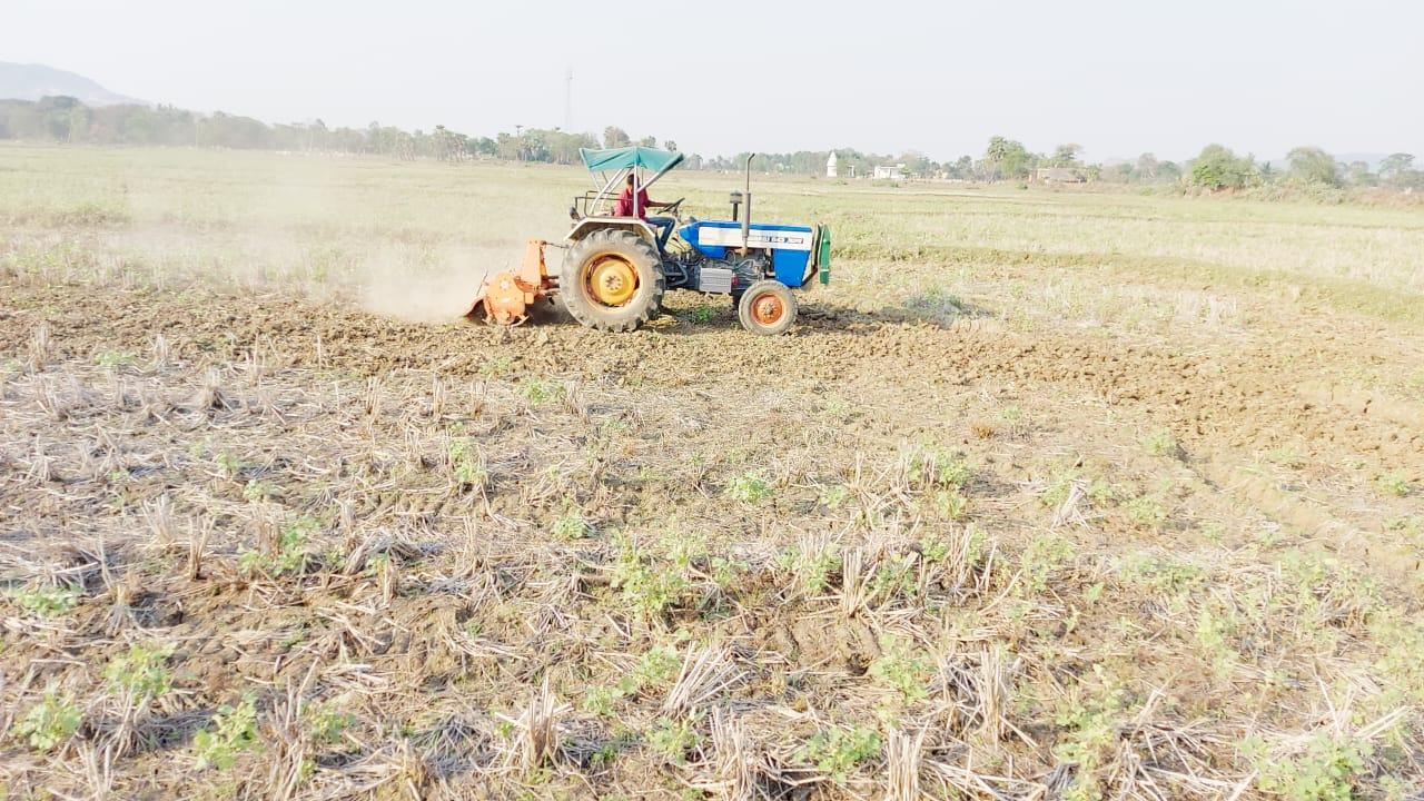 Crosslinks completes another year of agricultural interventions in Odisha